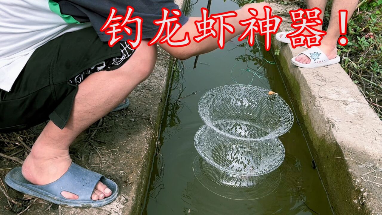 网购钓龙虾神器!一提就是七八个,再也不怕脱杆了