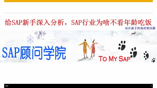 给SAP新手深入分析SAP行业为啥不看年龄吃饭