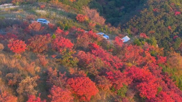 重阳登山好时节!嵩山云台山开展多种登高祈福活动