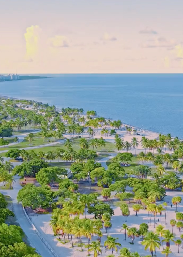 迈阿密海滩:这样的配色够不够养眼?