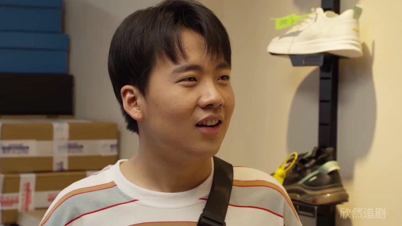 平凡之路9.郭麒麟取证假鞋案