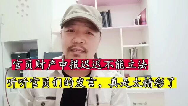 官员财产申报为什么迟迟不能立法,听听官员们是怎么说的,真是太精彩了