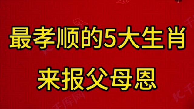 最孝顺的5大生肖来报父母恩