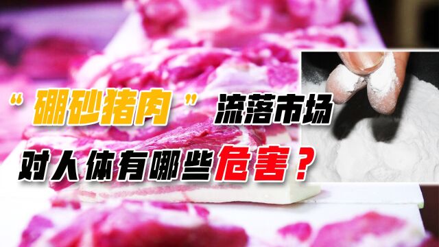 如何辨别“硼砂猪肉”?人人爱吃的猪肉,为啥会危害身体健康?