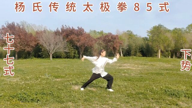 杨氏传统太极拳85式动作:七十六式到八十五式