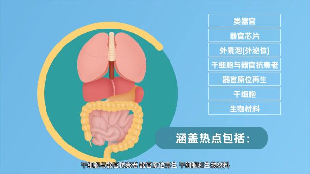 师出有名!一分钟了解国家有关部门对干细胞领域的相关政策