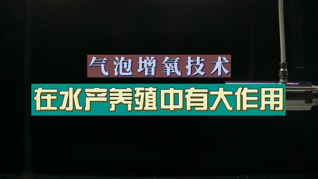 厉害了!气泡增氧技术,在水产养殖中有大作用!