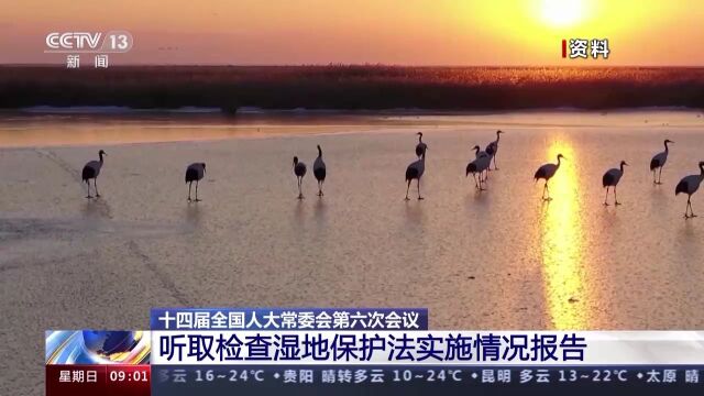 新增国际重要湿地18处 一起了解我国湿地保护法实施情况→