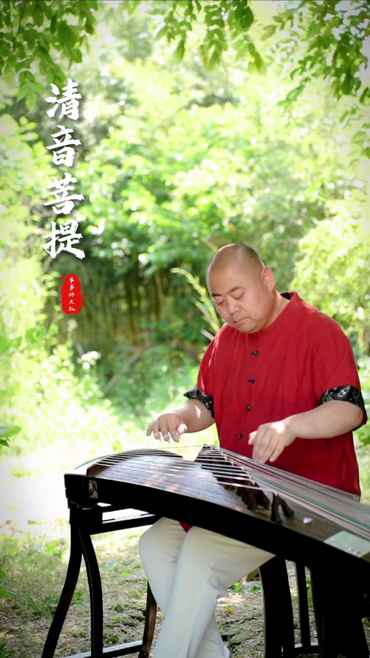 一首静心,净神的《清音菩提》送给大家#古筝#零基础学古筝#古筝流行