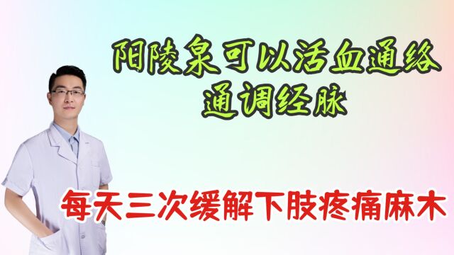 阳陵泉可以活血通络,通调经脉,缓解下肢疼痛麻木筋伤,每天三次