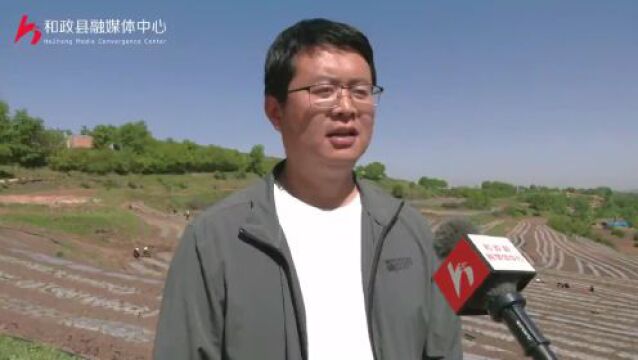 【乡村振兴在和政】和政:辣椒种植调产业 “种”出致富新路子