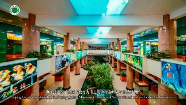 生物多样性优秀案例(43) | 陕西佛坪县秦岭大熊猫保护