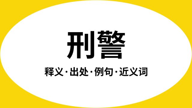 “刑警”是什么意思?