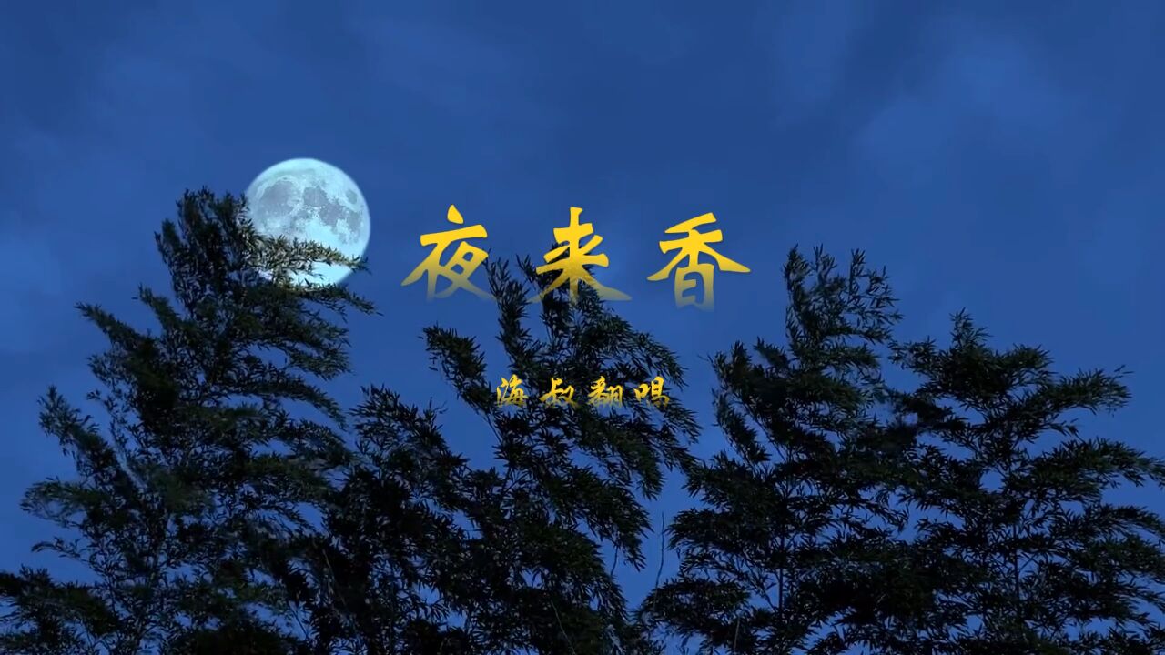 经典老歌…《夜来香》