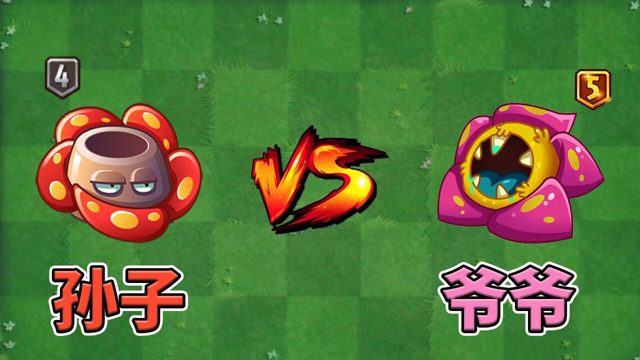 pvz2:大王花与原始大王花,孙子辈和爷爷辈差距在哪里?