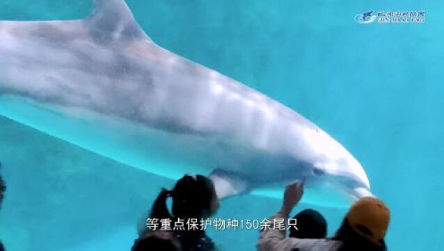 长沙海底世界举办国际生物多样性日主题活动