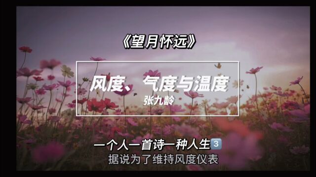 唐诗|风度、气度与温度.一个人一首诗一种人生张九龄《望月怀远》三