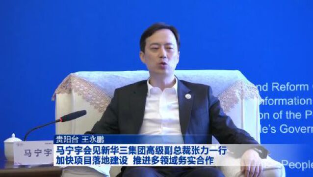 马宁宇会见新华三集团高级副总裁张力一行