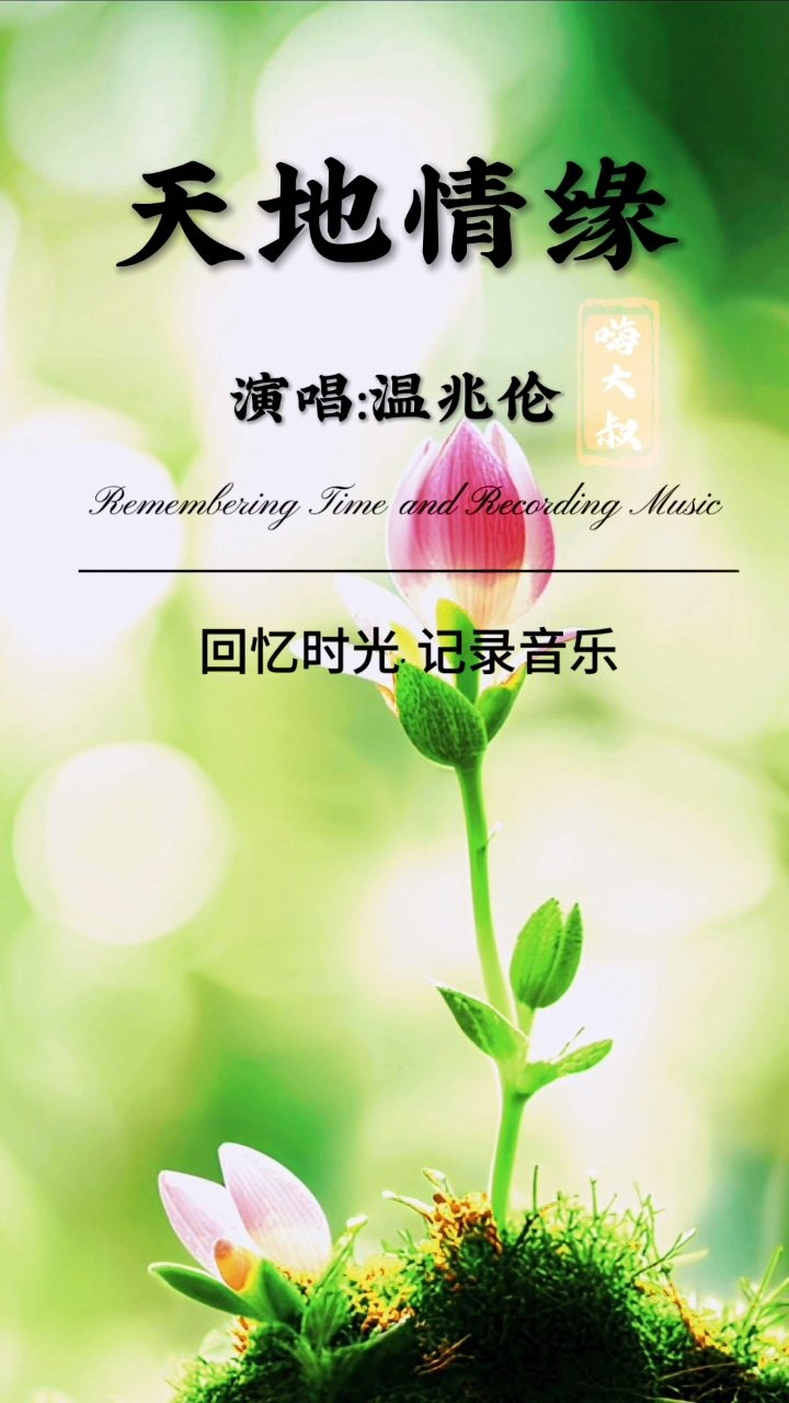 温兆伦《天地情缘》