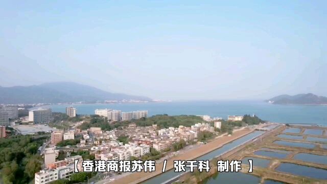 【视频】“山海鹏城 星辰掠影”深圳市手机摄影大赛启幕