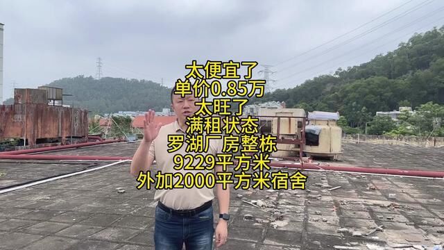 太便宜了 单价0.85万 太旺了 满租状态 罗湖厂房整栋 9229平方米 外加2000平方米宿舍