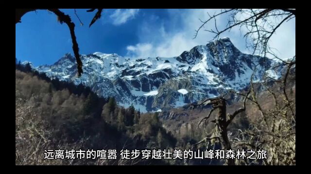 远离城市的喧嚣:徒步穿越壮美的山峰和森林之旅