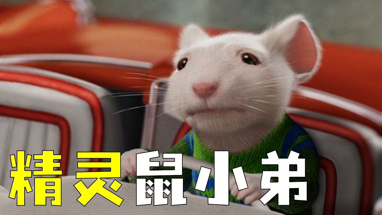 这样会说话的老鼠 你想要吗《精灵鼠小弟》