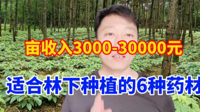 6种适合林下的药材,亩收益300030000元,一份投入两份收益