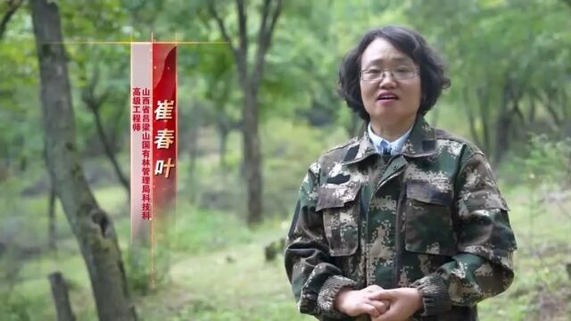 “2023年山西最美科技工作者”宣传专栏 | 坚守林草一线 逐梦绿色家园——记山西省吕梁山国有林管理局科技科高级工程师崔春叶