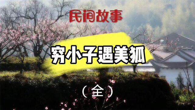 民间故事(穷小子遇美狐(全))