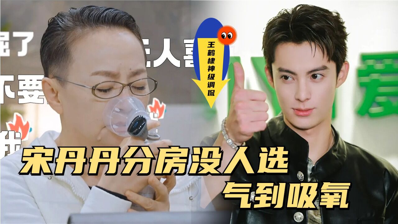 桃花坞爆梗来袭，宋丹丹分房没人选，王鹤棣神级调侃太好笑_高清1080P在线观看平台_腾讯视频