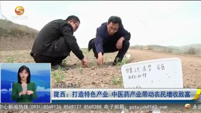 陇西:打造特色产业 中医药产业带动农民增收致富