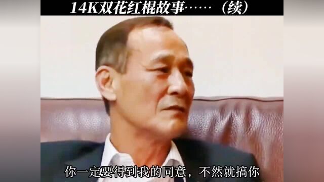 14双花红棍故事……续大佬本色演出