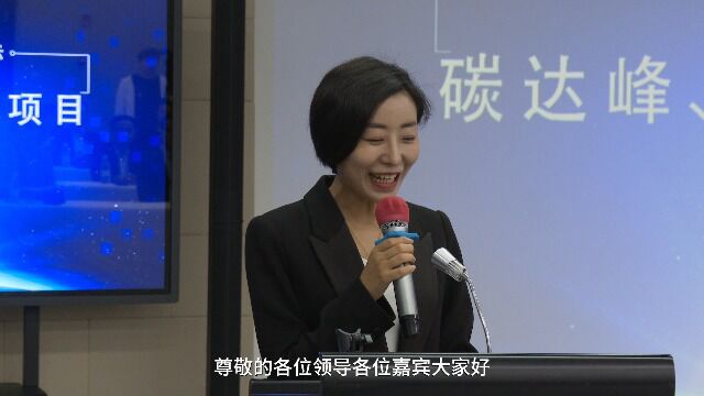 碳达峰碳中和座谈会议