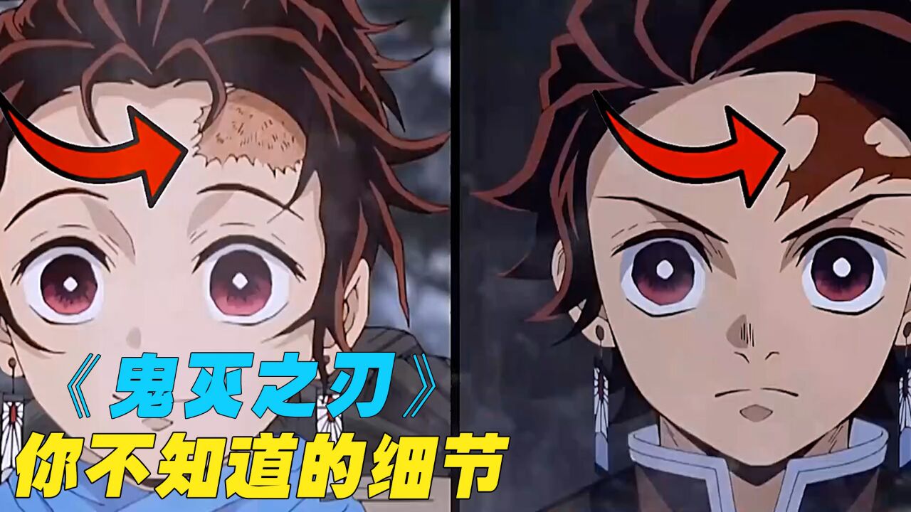 原来在《鬼灭之刃》中,还有这么多我们不知道的细节设定?_高清1080P在线观看平台_腾讯视频