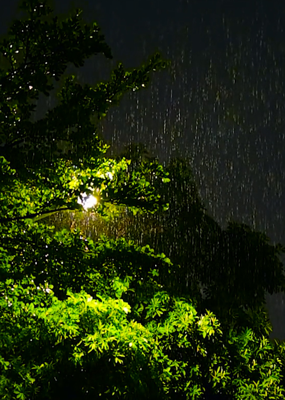 夜晚暴雨图片大全大图图片