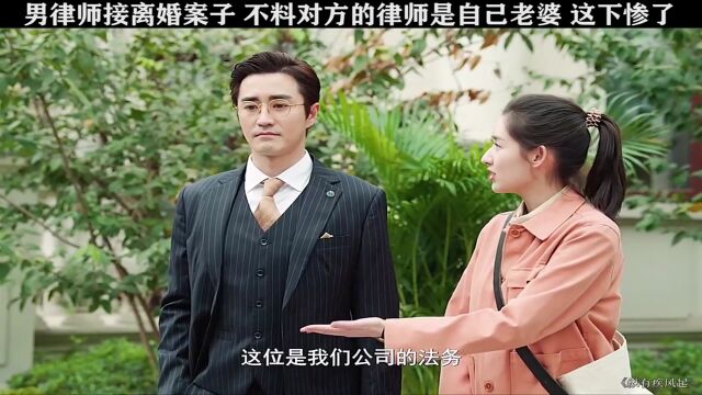 律师接了离婚官司,没想到对方的律师是自己老婆