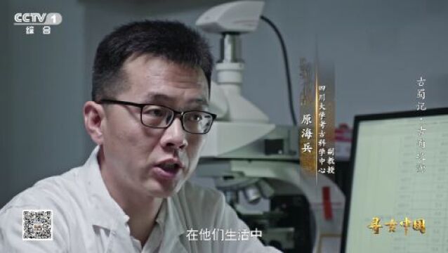 古蜀先民5000年前主食都吃啥?小小牙齿为你揭秘→