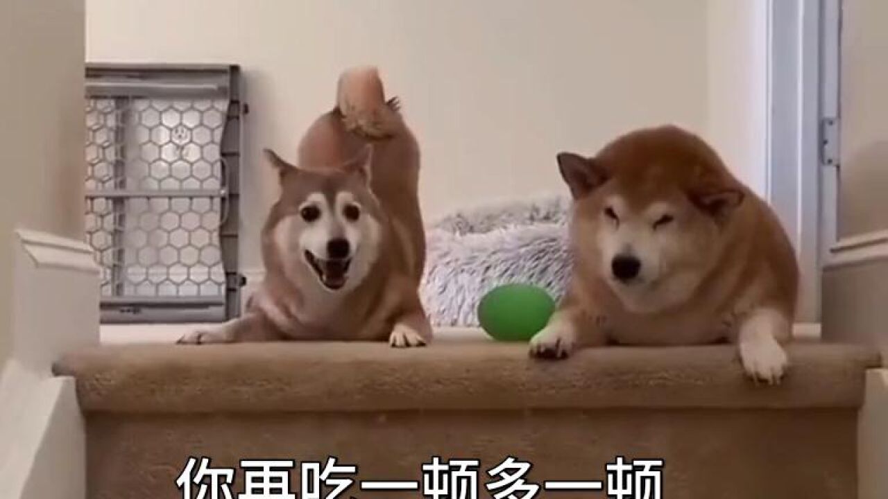 我反反复复!我梅开二度!_腾讯视频