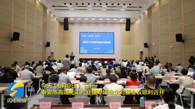 签约金额16.5亿元 泰安市高端化工产业链专场金企对接会议顺利召开