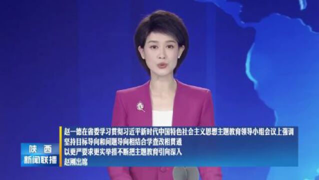 赵一德:坚持目标导向和问题导向相结合学查改相贯通 以更严要求更实举措不断把主题教育引向深入