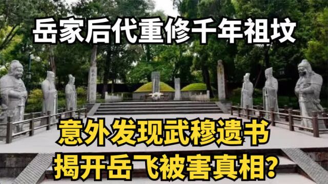 岳家后代重修祖坟,意外发现武穆遗书,揭开岳飞被害真相?