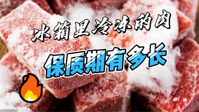 冰箱里冷冻的肉,保质期有多长