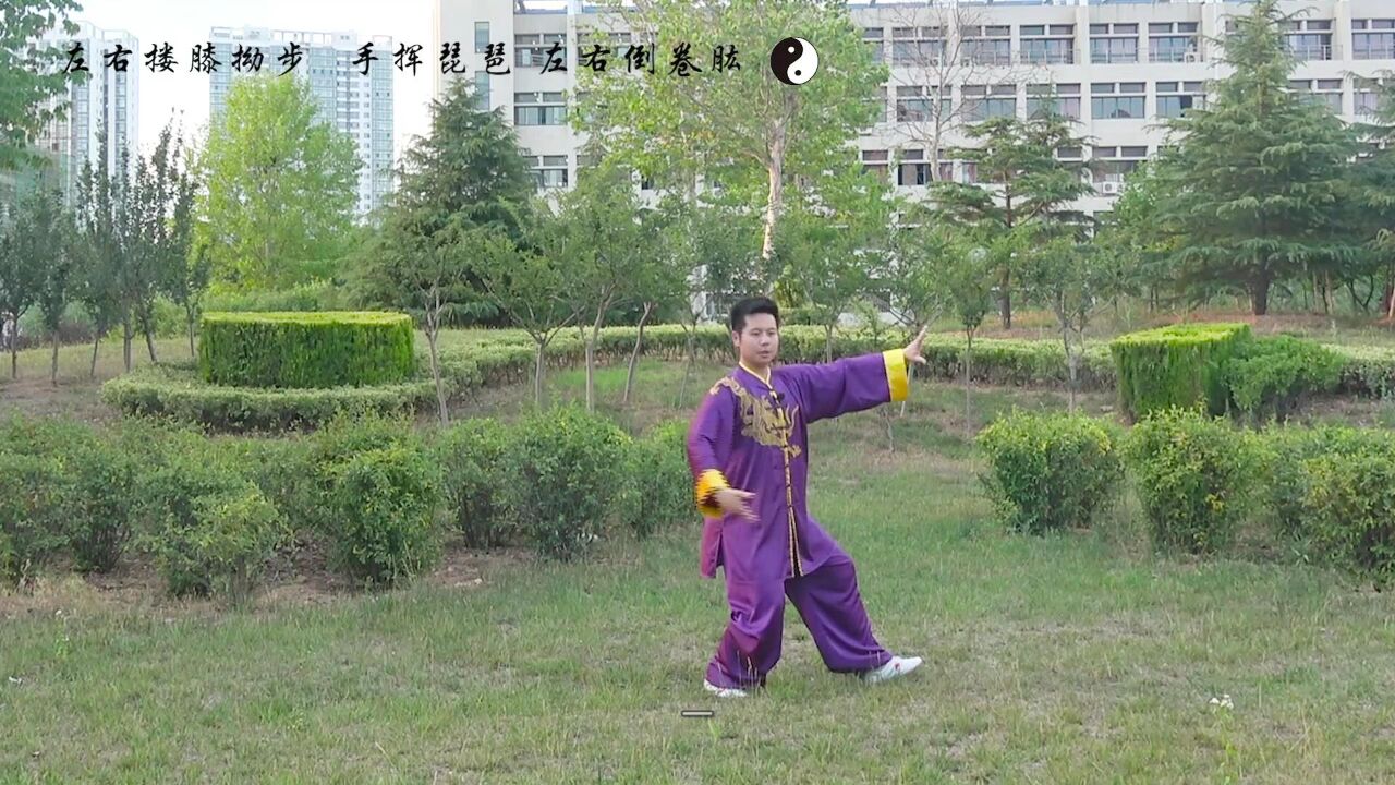 24式太极拳第二组动作教与学：左右搂膝拗步、手挥琵琶、左右倒卷肱_高清1080P在线观看平台_腾讯视频