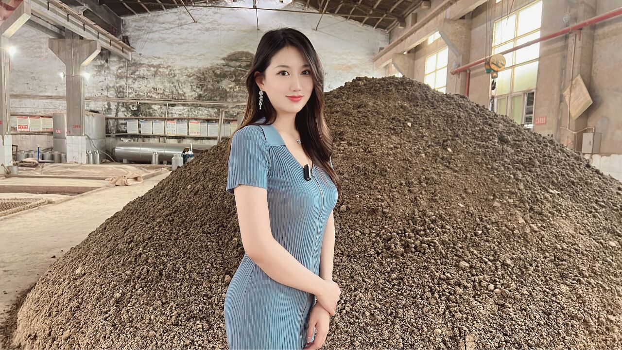 小酒妹在酒厂开挖掘机!现场操控太丝滑了,这样会影响酒质吗?