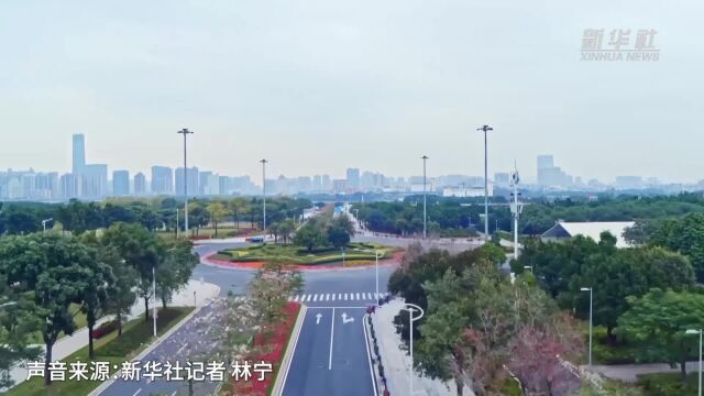 香港法律周2023举行 探讨共建“一带一路”机遇等议题