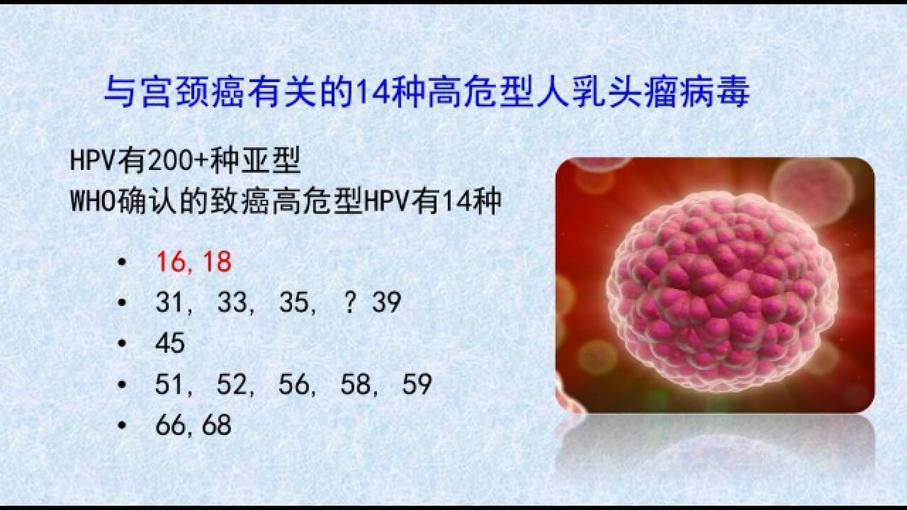 与宫颈癌有关的14种高危型人乳头瘤病毒 成都锦一医院