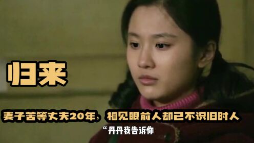 《归来》：妻子苦等丈夫20年，相见眼前人却已不识旧时人。