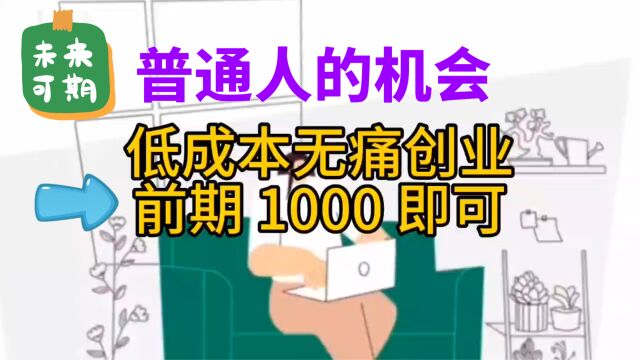 1万不到实现低成本无痛创业,不想一辈子当打工人的必看