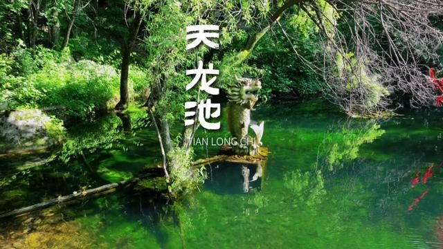 平顶山周边的宝藏景区,游山玩水好去处#藏龙水乡在河南#藏龙水乡天龙池游玩攻略#平顶山 #大自然天然氧吧 #毕业旅行